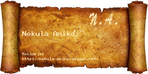 Nekula Anikó névjegykártya